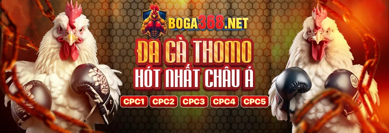 Sân đấu đá gà trực tuyến 87win Login 2026